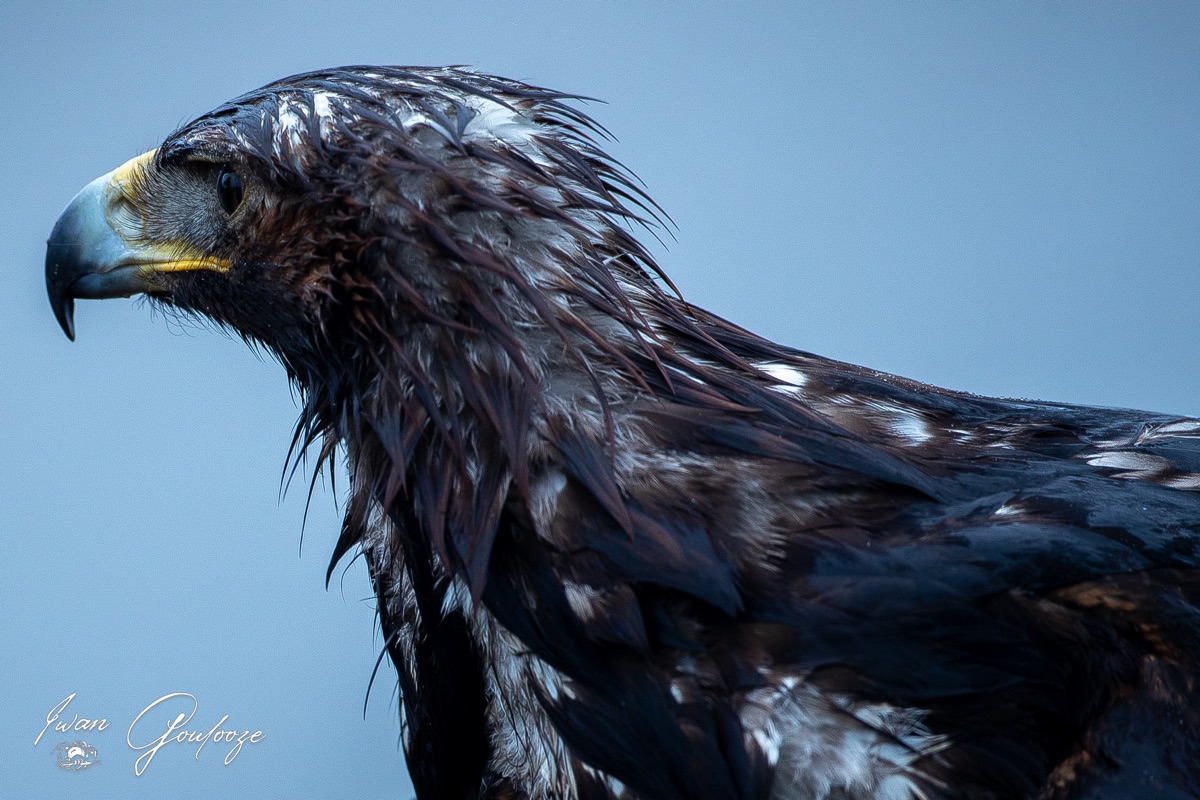 1DX45839 12 december 2021 1139 13